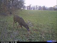 CDY_0020.JPG