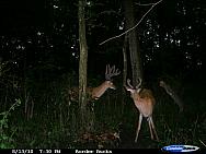 CDY_0029.JPG