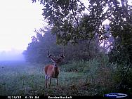 CDY_0030.JPG