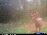 CDY_0042.JPG