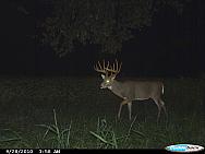 CDY_0047.JPG