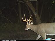 CDY_0053.JPG
