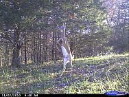 CDY_0074.JPG