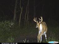 CDY_0098.JPG