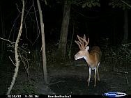 CDY_0132.JPG