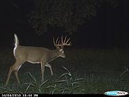 CDY_0136.JPG