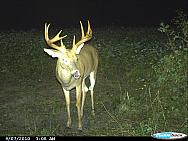 CDY_0136.JPG