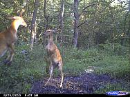 CDY_0156.JPG