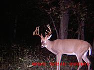 MDGC0005.JPG