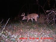 MDGC0009.JPG