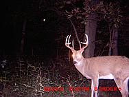 MDGC0069.JPG