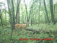 MDGC0329.JPG