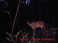 MDGC0389.JPG