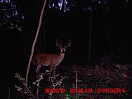 MDGC0442.JPG