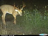 CDY 0073