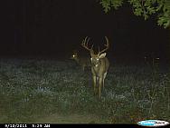 CDY 0130