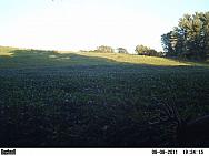 PICT0064