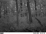 PICT0074