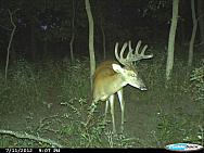 CDY 0049