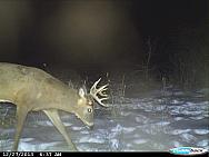 CDY 0012