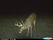 CDY 0199