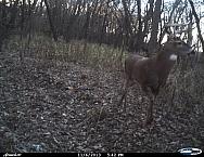Cdy00044