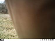 PICT0008