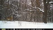 PICT0029-002