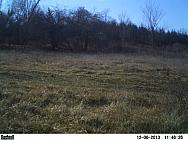 PICT0058