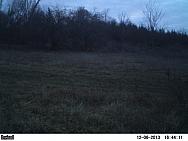 PICT0084-001