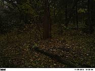 PICT0093-001
