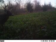 PICT0114-001