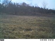 PICT0133-002