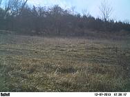 PICT0135-001
