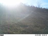 PICT0154-001