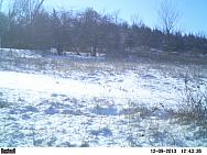PICT0202