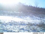 PICT0204
