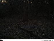 PICT0205-001