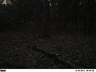 PICT0209-001