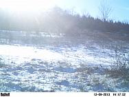 PICT0209-002