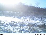PICT0213