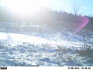 PICT0222-002