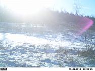 PICT0225