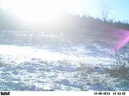 PICT0230