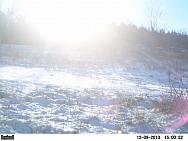 PICT0239