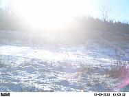 PICT0240