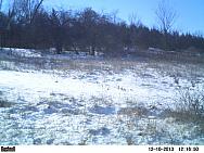 PICT0254
