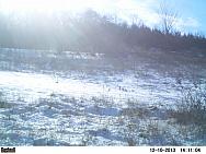 PICT0255