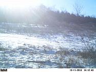 PICT0296