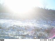 PICT0301-001